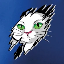 Kočka v roztrženém triku Kočka v roztrženém triku