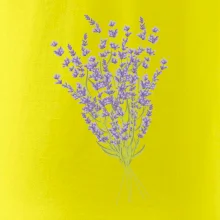 Levanduľa kreslená Levanduľa kreslená