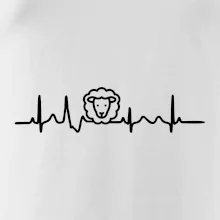 Ekg ovce Ekg ovce
