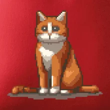 Mačka hrdzavá Mačka hrdzavá