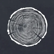 Letokruhy 100 bez veku