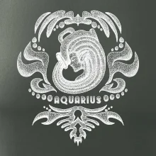 Aquarius - vintage Aquarius - vintage