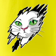 Kočka v roztrženém triku