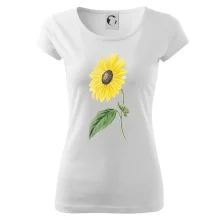 Slnečnica otočená