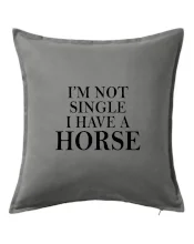 I have a horse