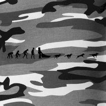 Evolúcia psie záprahy