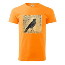 Egyptské hieroglyfy vták