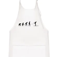 Evolúcia behu - bežky Evolúcia behu - bežky