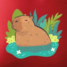 Kapybara vo vode Kapybara vo vode