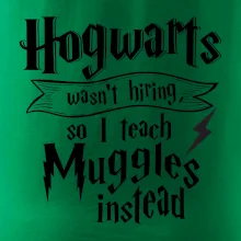Harry - Hogwarts wasn’t hiring, so I teach Muggles instead