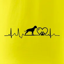 Nemecký boxer EKG