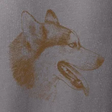 Husky - hlava z boku