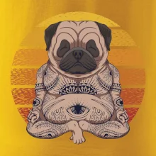 Yoga meditace - pug Yoga meditace - pug