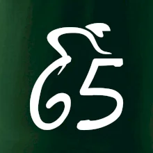 Cyklista oslavuje šesťdesiatpäťku (65)