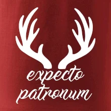 Harry - Expecto patronum