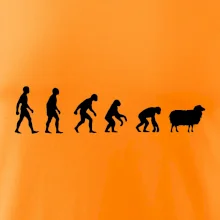 Evolúcia ovce Evolúcia ovce