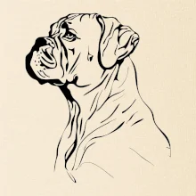 Boxer čierna kresba