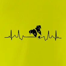 Jack Russell Terriér - hlava