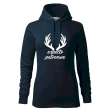 Harry - Expecto patronum