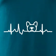 EKG Francúzsky buldoček hlava