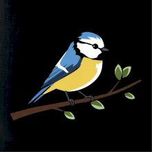 Sýkorka modrinka na vetve