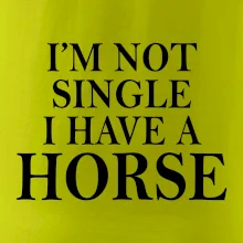 I have a horse