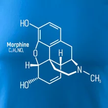 Molekulárna štruktúra Morfín