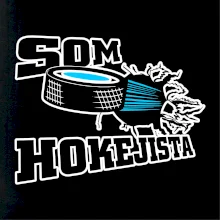 Som hokejista