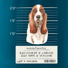 Baset - lump a darebák   Baset - lump a darebák