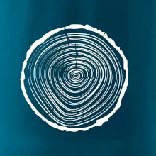 Letokruhy 20 bez veku