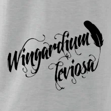 Harry - Wingardium Leviosa Harry - Wingardium Leviosa