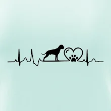 Nemecký boxer EKG Nemecký boxer EKG