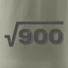 Narodeniny odmocniny 30