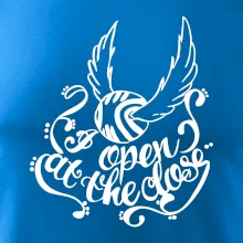 Harry - Zlatá strela