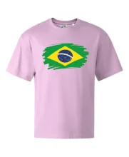 Brazília vlajka štetkou