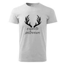 Harry - Expecto patronum Harry - Expecto patronum