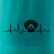 Lagotto romagnolo hlava EKG