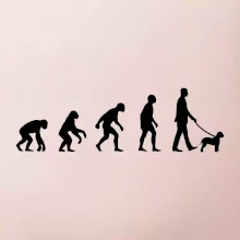 Lagotto romagnolo Evolúcia muž / žena