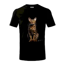 Bengálska mačka čierna fotka