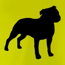 Americký stafordšírsky teriér Na prsníku