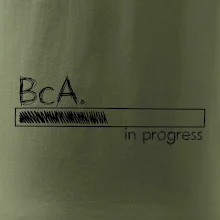 In progress titul BcA. bakalár / bakalárka umenia