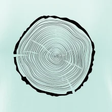 Letokruhy 45 bez veku