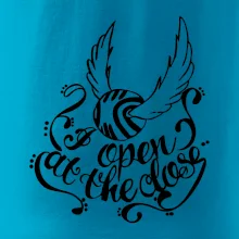 Harry - Zlatá strela