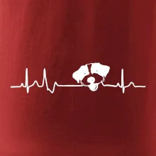 Jack Russell Teriér hrubosrstý Ekg