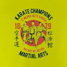 Karate Champions