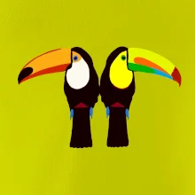 Dva barevní tukani (Moňas)