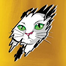 Kočka v roztrženém triku