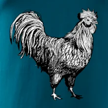 Kohút kreslený čiernobiely