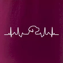 Labradorský retriever EKG Labradorský retriever EKG