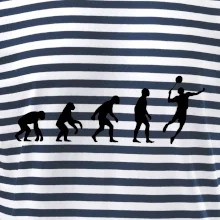 Evolúcia Bedminton Evolúcia Bedminton